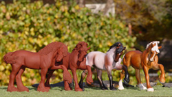 Work Done For The International Blessed Broodmare Project