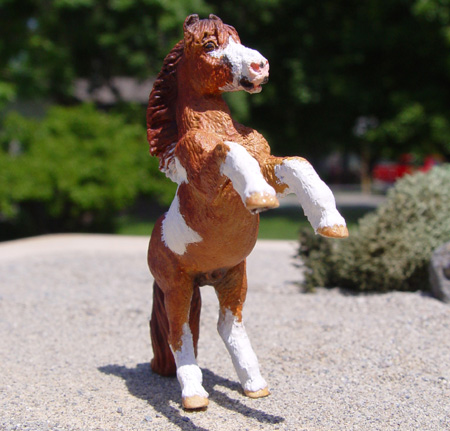 Rearing Pony A