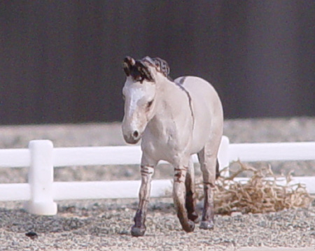 Spike