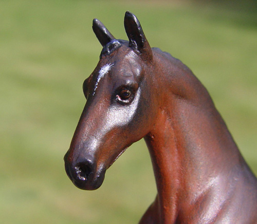Warmblood Gelding