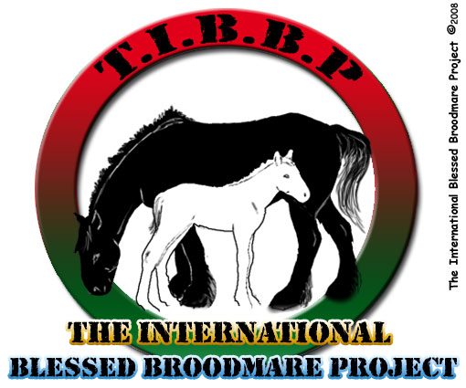 The International Blessed Broodmare Project
