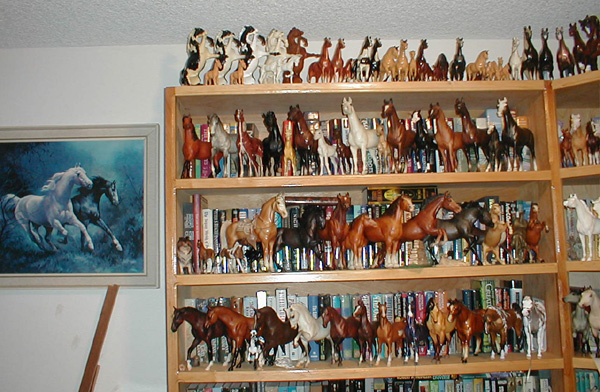 Model Horse Collection