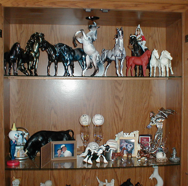 Model Horse Collection