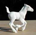 Draft Foal 1