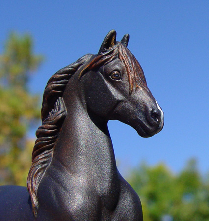 G3 Peruvian Paso