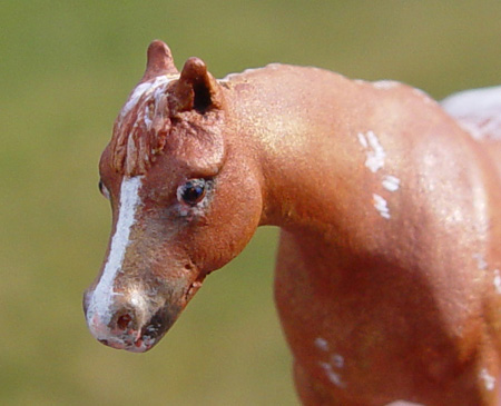Creata Micro